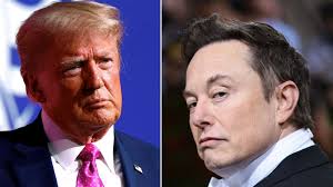 (Elon Musk) 