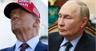   (Trump) 