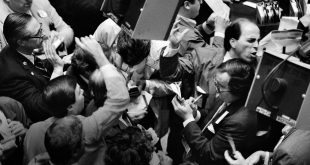 Panic in the stock market!