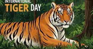 International Tiger Day