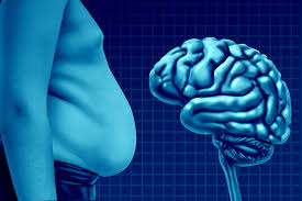 Belly Fat and Brain Health