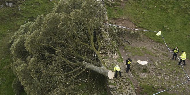 Sycamore Gap