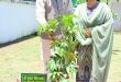 CM Dhami