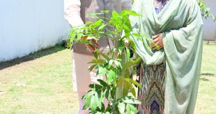 CM Dhami