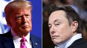 (Elon Musk) 