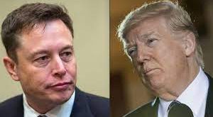  ( Elon Musk) 