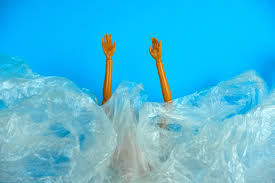 Plastic-Free