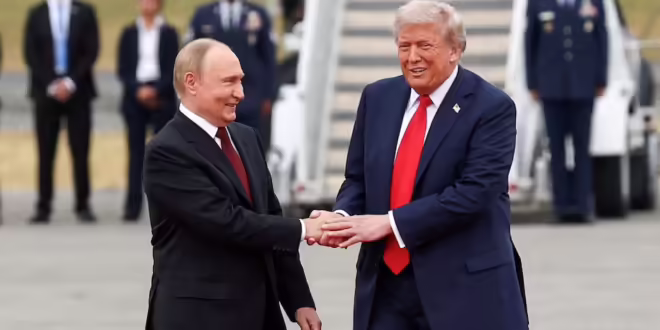    ( Putin ) 
