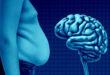 Belly Fat and Brain Health
