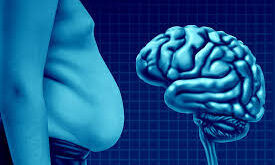 Belly Fat and Brain Health