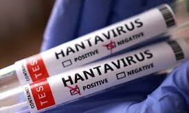 Hantavirus Alert