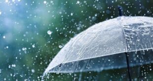 Normal Rainfall