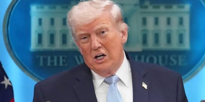 ( Trump) 