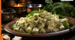 analog paneer