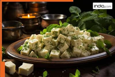 analog paneer